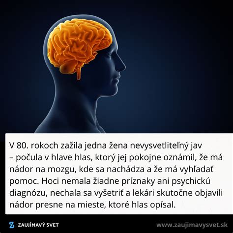 Ilustrácia mozgu dieťaťa ako špongie absorbujúcej vedomosti