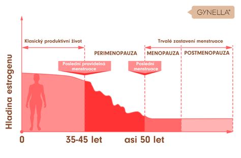 Ilustrácia znázorňujúca tri fázy menopauzy: perimenopauza, menopauza a postmenopauza.
