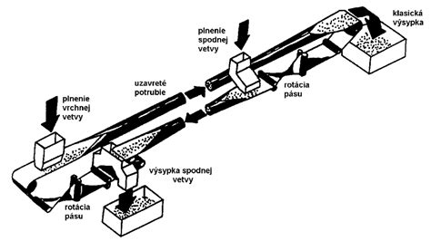 Schematické znázornenie fáz prehĺtacieho aktu.
