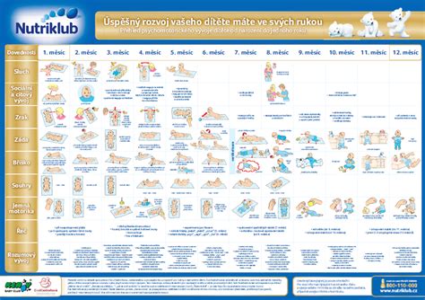 Infografika zobrazujúca typické miľniky psychomotorického vývoja dojčaťa (napr. otáčanie, sedenie, prvé kroky).