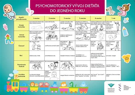 Schéma znázorňujúca rôzne fázy motorického vývoja dieťaťa od 6 mesiacov: pretáčanie, plazenie, štvornožkovanie.