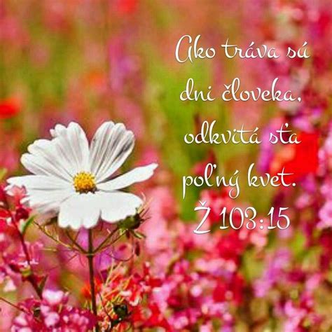 Ilustrácia Biblie otvorenej na stránkach s citátmi o viere a nádeji.