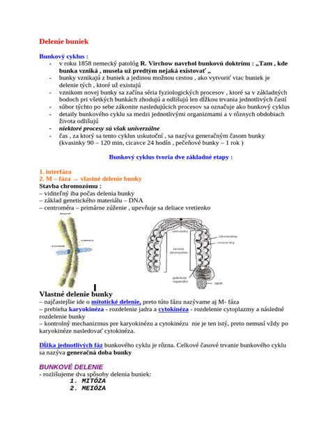 Ilustrácia znázorňujúca štruktúru molekuly kyseliny listovej a jej vplyv na delenie buniek