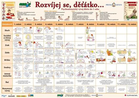 Ilustračná tabuľka výživy dojčaťa podľa mesiacov