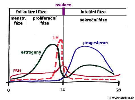 graf zobrazujúci menštruačný cyklus s vyznačenými plodnými dňami
