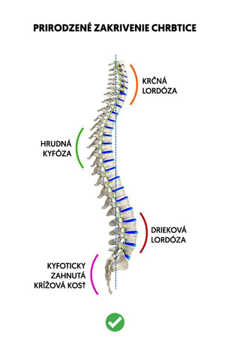 Obrázok znázorňujúci nevhodnú polohu dieťaťa v autosedačke s dôrazom na zakrivenie chrbtice