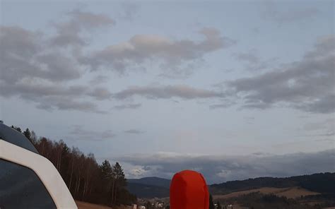 Ilustrácia dvoch chlapcov s kyticami