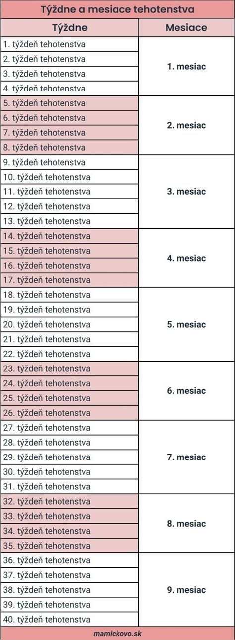 Schéma priebehu tehotenstva s vyznačenými dôležitými prehliadkami a termínmi.
