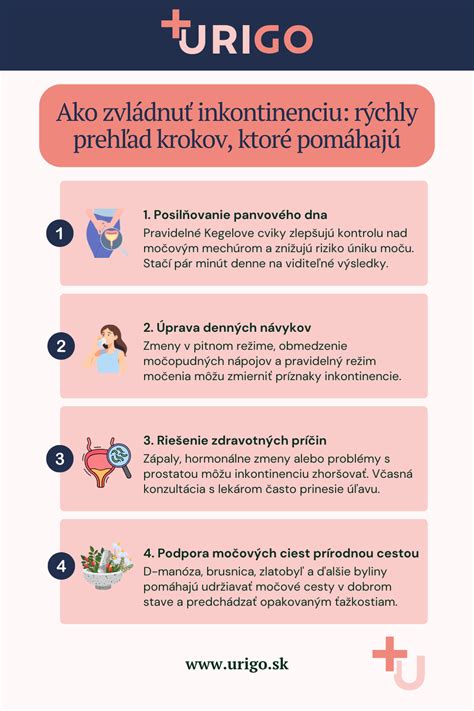 Infografika znázorňujúca krok za krokom použitie ovulačného testu