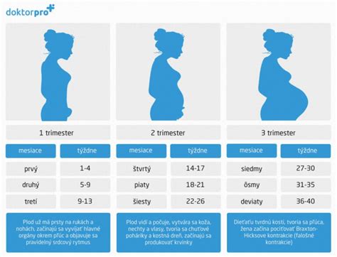 Infografika zobrazujúca rozdelenie ultrazvukových vyšetrení počas tehotenstva podľa týždňov.