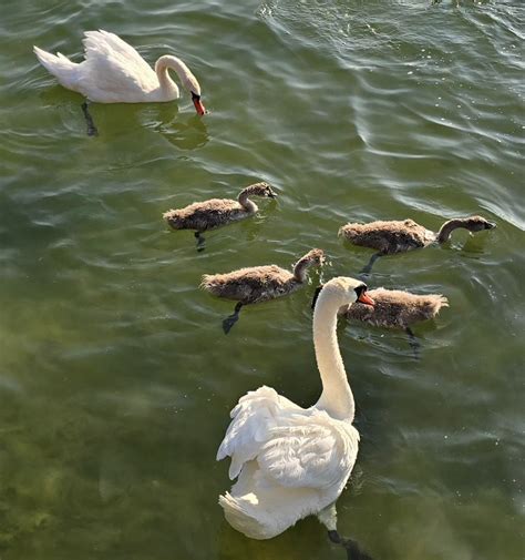 ilustračná fotografia dieťaťa, ktoré sa drží rodiča pri vstupe do škôlky