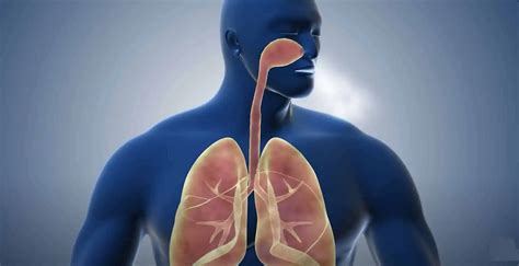 Ilustrácia dieťaťa s vlhkým kašľom, kde je viditeľný hlien v dýchacích cestách