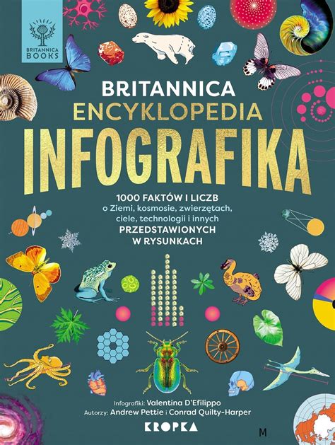 infografika porovnávajúca rôzne typy cumlíkov