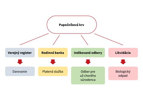 Schéma odberu a využitia pupočníkovej krvi