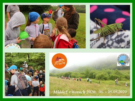 Koláž fotografií detí pri rôznych aktivitách v Kalinajkove