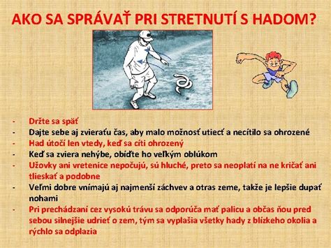 Ilustrácia správneho postoja pri stretnutí s agresívnym psom (rukami pri tele, bez priameho očného kontaktu)