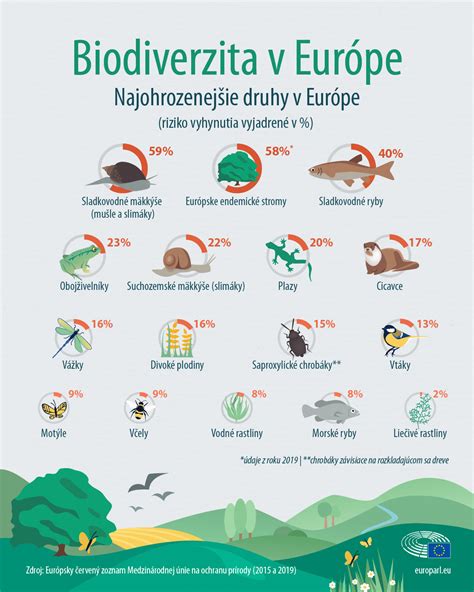 Infografika s príkladmi rastlín a živočíchov