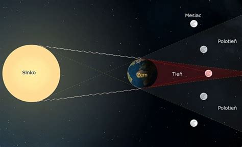 Schematické znázornenie troch fáz prehĺtania.