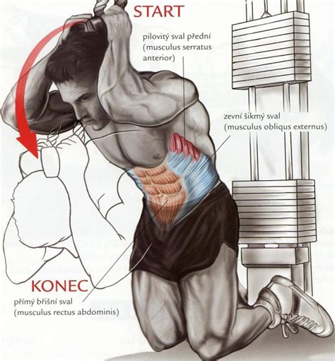 ilustrácia rôznych druhov cvičení na brucho a celkové posilňovanie