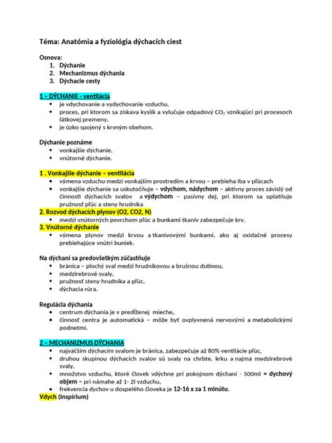 Ilustrácia dýchacích ciest s naznačenou obštrukciou počas spánku