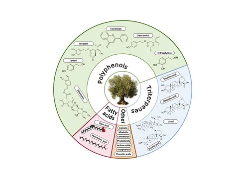 Schéma osi mikrobióm - črevo - mozog, zobrazujúca vzájomné prepojenie črevnej mikroflóry, tráviaceho traktu a mozgu.
