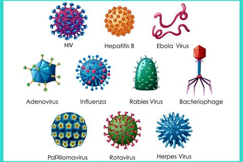 Ilustrácia znázorňujúca rôzne druhy baktérií a vírusov spôsobujúcich nemocničné infekcie