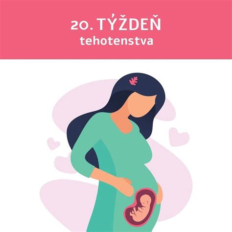 Ilustrácia vývoja plodu v 20. týždni tehotenstva s vyznačením rastu kostí, svalov a formovania orgánov.