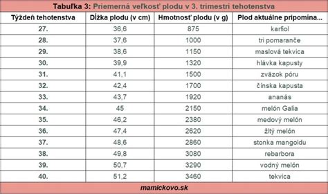 grafické znázornenie rastu plodu a zmien v tele matky počas trimestrov