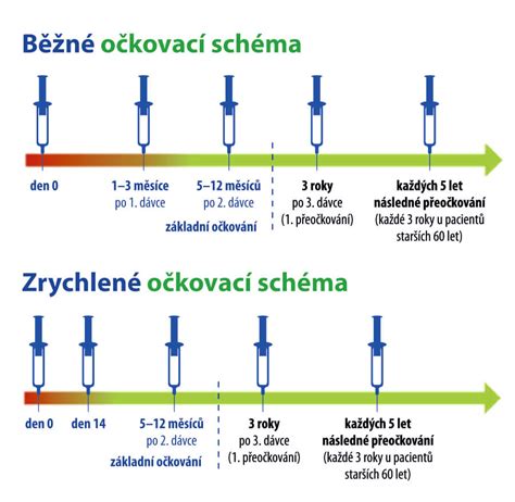 Schéma bežných reakcií po očkovaní
