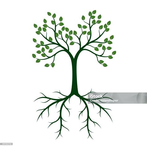 ilustrácia silného stromu s hlbokými koreňmi