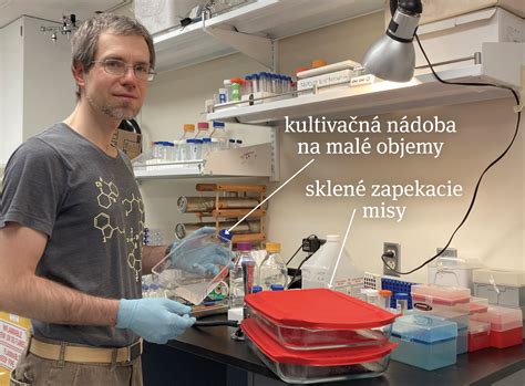 Ilustračná fotografia lekárky pri práci v laboratóriu