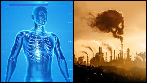 Infografika zobrazujúca citlivosť dýchacích ciest bábätiek na znečistené ovzdušie.