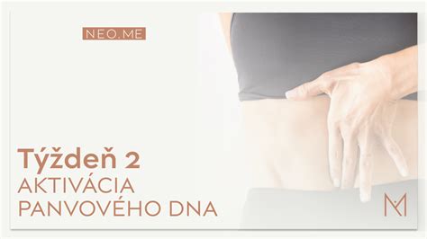 Ilustrácia svalov panvového dna a ich funkcie.