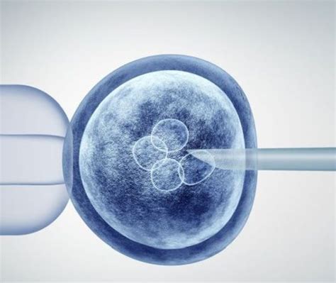 Ilustračná fotografia predstavujúca proces umelého oplodnenia alebo zmrazeného embrya.