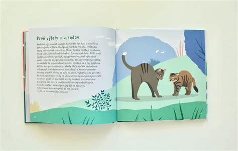 ilustrácia z knihy Gabriely Futovej