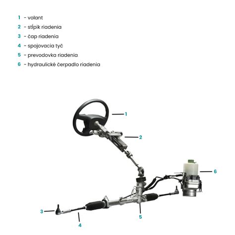 Schéma znázorňujúca hormonálne riadenie pôrodu a laktácie.