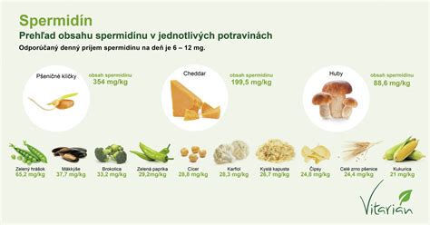 Infografika zobrazujúca zdroje kyseliny listovej a myo-inozitolu v potrave.