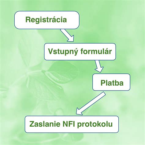 Schéma: Princíp inzulínovej rezistencie a ako NFI protokol pôsobí na receptory
