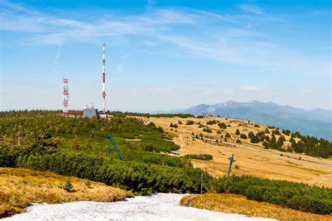 Ilustrácia detí pracujúcich na skupinovom projekte, kde experimentujú s rastlinami v rámci environmentálnej výchovy.