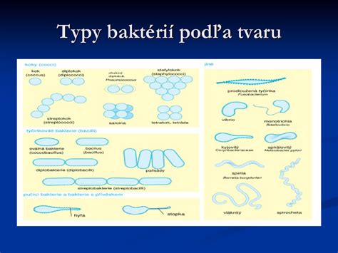 infografika znázorňujúca rôzne typy baktérií spôsobujúcich otravu jedlom