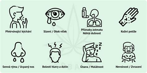 Koláž obrázkov zobrazujúcich rôzne príznaky alergie: vyrážka, opuchnuté pery, kýchanie, žalúdočné problémy.