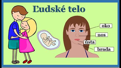 Ilustrácia detského tela s vyznačenými oblasťami slabín a bedrových kĺbov